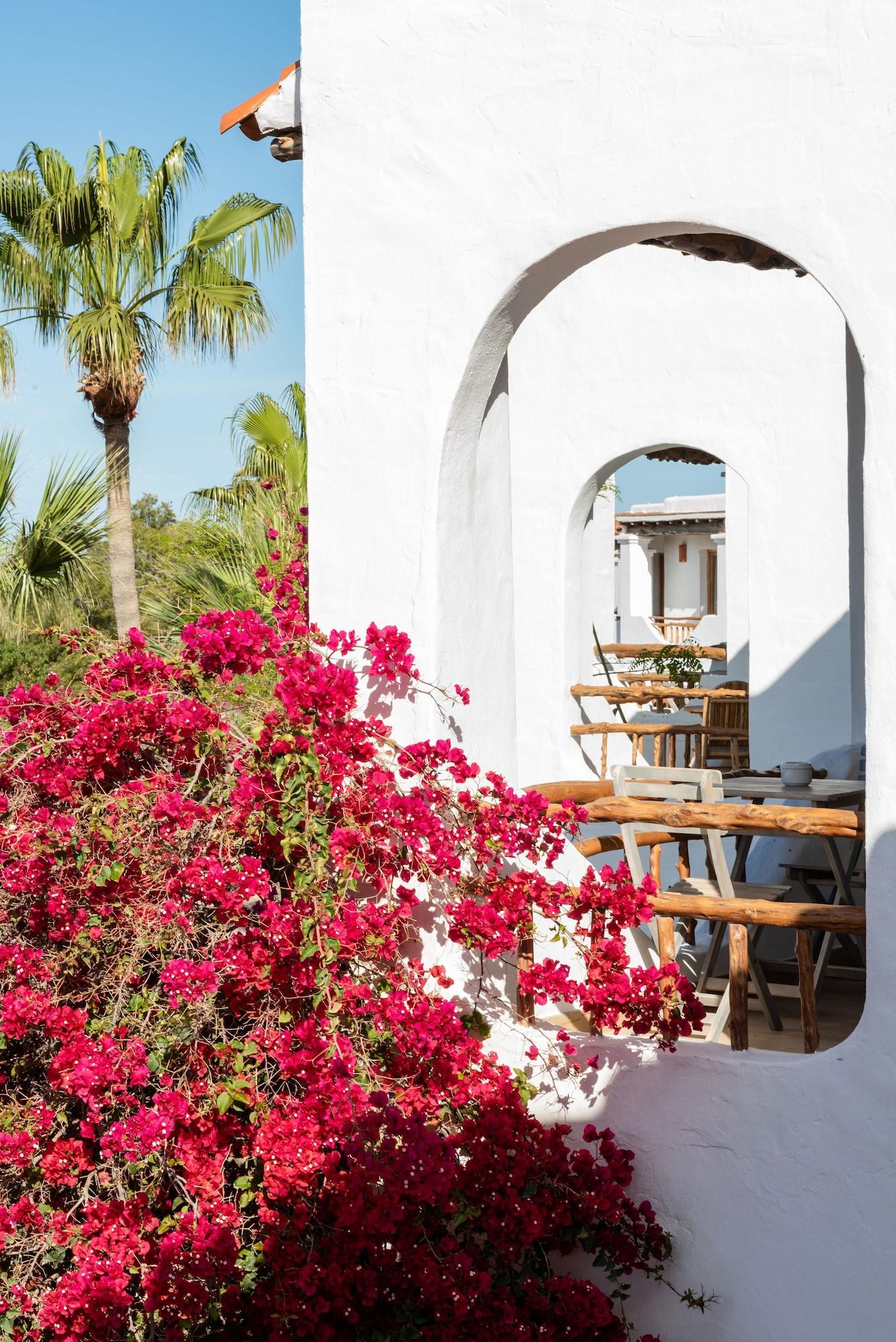 ホテル Petunia Ibiza (Adults Only) カラ・ヴァデラ エクステリア 写真